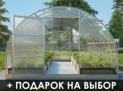 Теплица «УСИЛЕННАЯ», КРАБ-СИСТЕМА